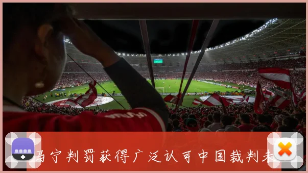 马宁判罚获得广泛认可中国裁判未来发展前景乐观可期